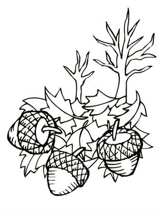 Раскраски Осень Осень — раскраска 19