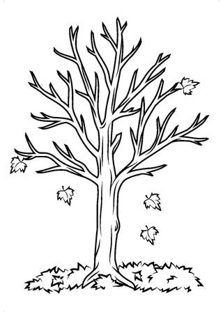 Раскраски Осень Осень — раскраска 23