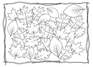 Раскраски Осень Осень — раскраска 30