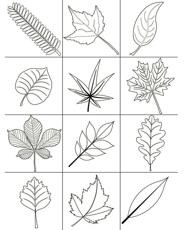 Раскраски Осень Осень — раскраска 8