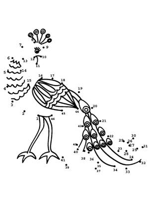 Павлин раскраска 12