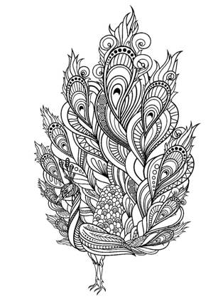Павлин раскраска 15