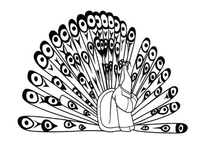 Павлин раскраска 2