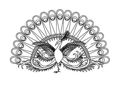 Павлин раскраска 4
