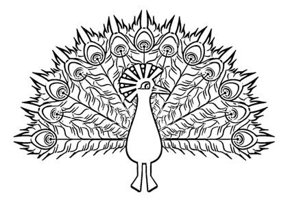 Павлин раскраска 5