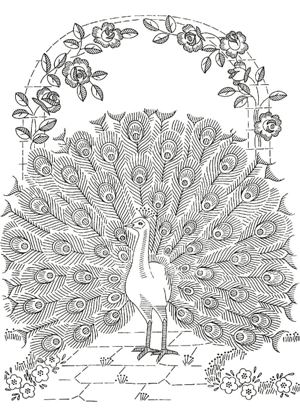 Павлин раскраска 7