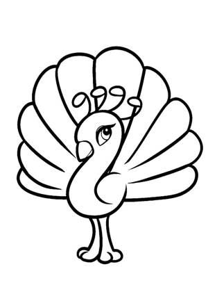 Павлин раскраска 8