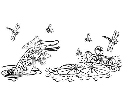 По сказкам Самуила Маршака раскраска 40