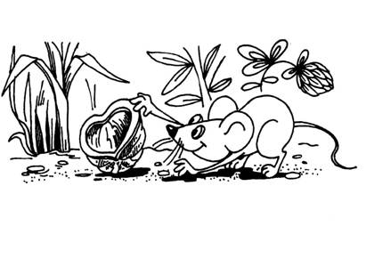 По сказкам Сутеева раскраска 17