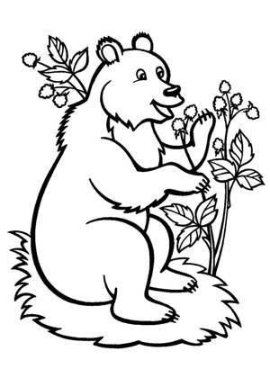 По сказкам Сутеева раскраска 3