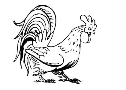 По сказкам Сутеева раскраска 35