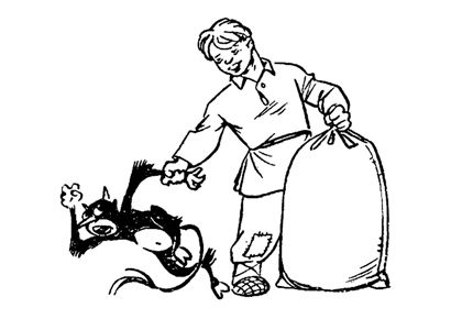 По сказкам Пушкина раскраска 3