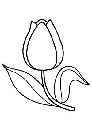 Садовые цветы – раскраска 11