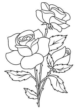 Садовые цветы – раскраска 3