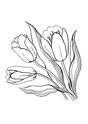 Садовые цветы – раскраска 5