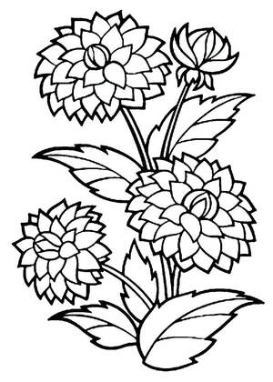 Садовые цветы – раскраска 6