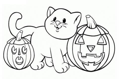 Раскраски Тыква на Хэллоуин Тыква на Хэллоуин