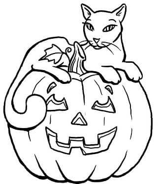Раскраски Тыква на Хэллоуин Тыква на Хэллоуин