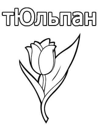 Раскраски Тюльпаны Тюльпаны