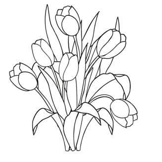 Раскраски Тюльпаны Тюльпаны