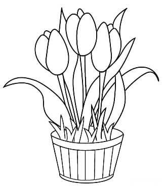 Раскраски Тюльпаны Тюльпаны