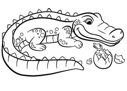 животные Африки – раскраска 10