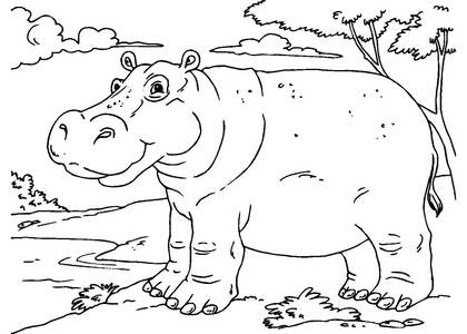 животные Африки – раскраска 12