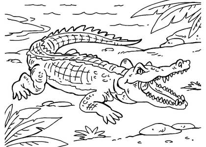 животные Африки – раскраска 14