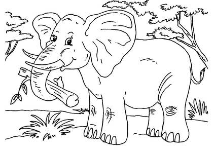 животные Африки – раскраска 18