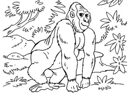 животные Африки – раскраска 21