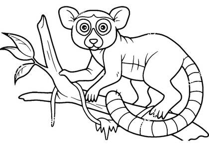 животные Африки – раскраска 22