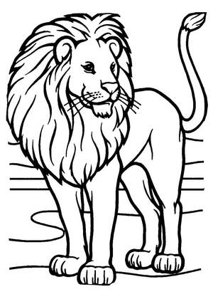 животные Африки – раскраска 3