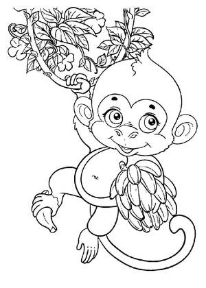 животные Африки – раскраска 5