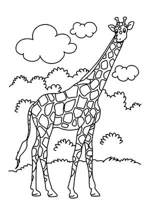 животные Африки – раскраска 7