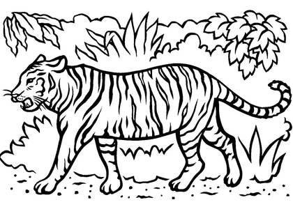 животные Африки – раскраска 8