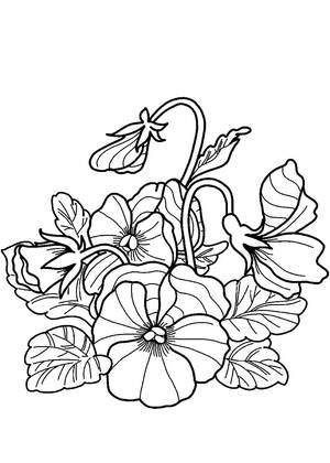 Раскраски Жостовская роспись Жостовская роспись — раскраска 14