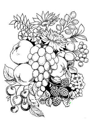 Раскраски Жостовская роспись Жостовская роспись — раскраска 7