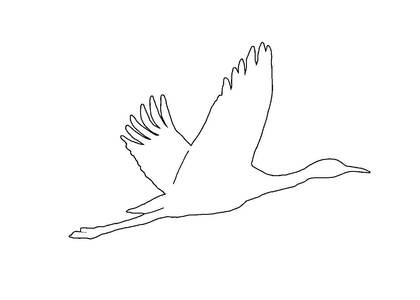 Раскраски Журавли Журавли — раскраска 11