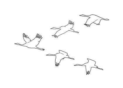 Раскраски Журавли Журавли — раскраска 13