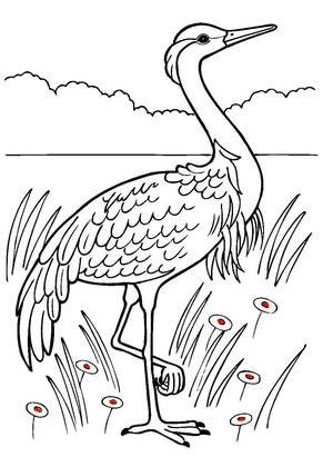 Раскраски Журавли Журавли — раскраска 7