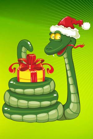 Новый год Змеи 2025