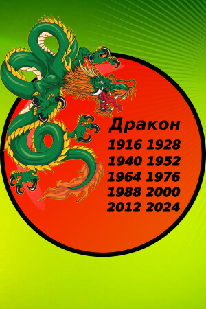 Новый год 2024